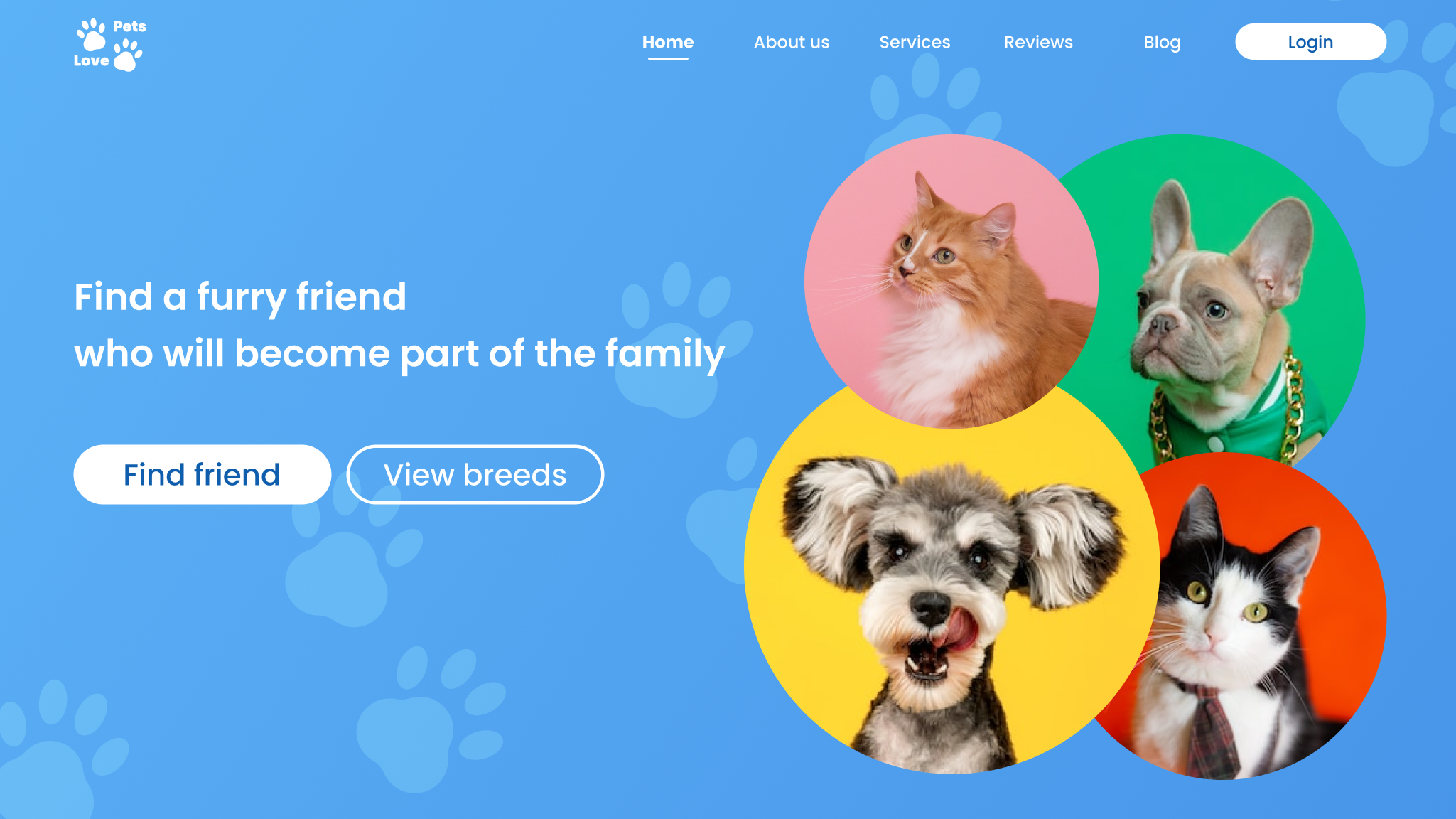Portal for pet-service providers and customers interaction