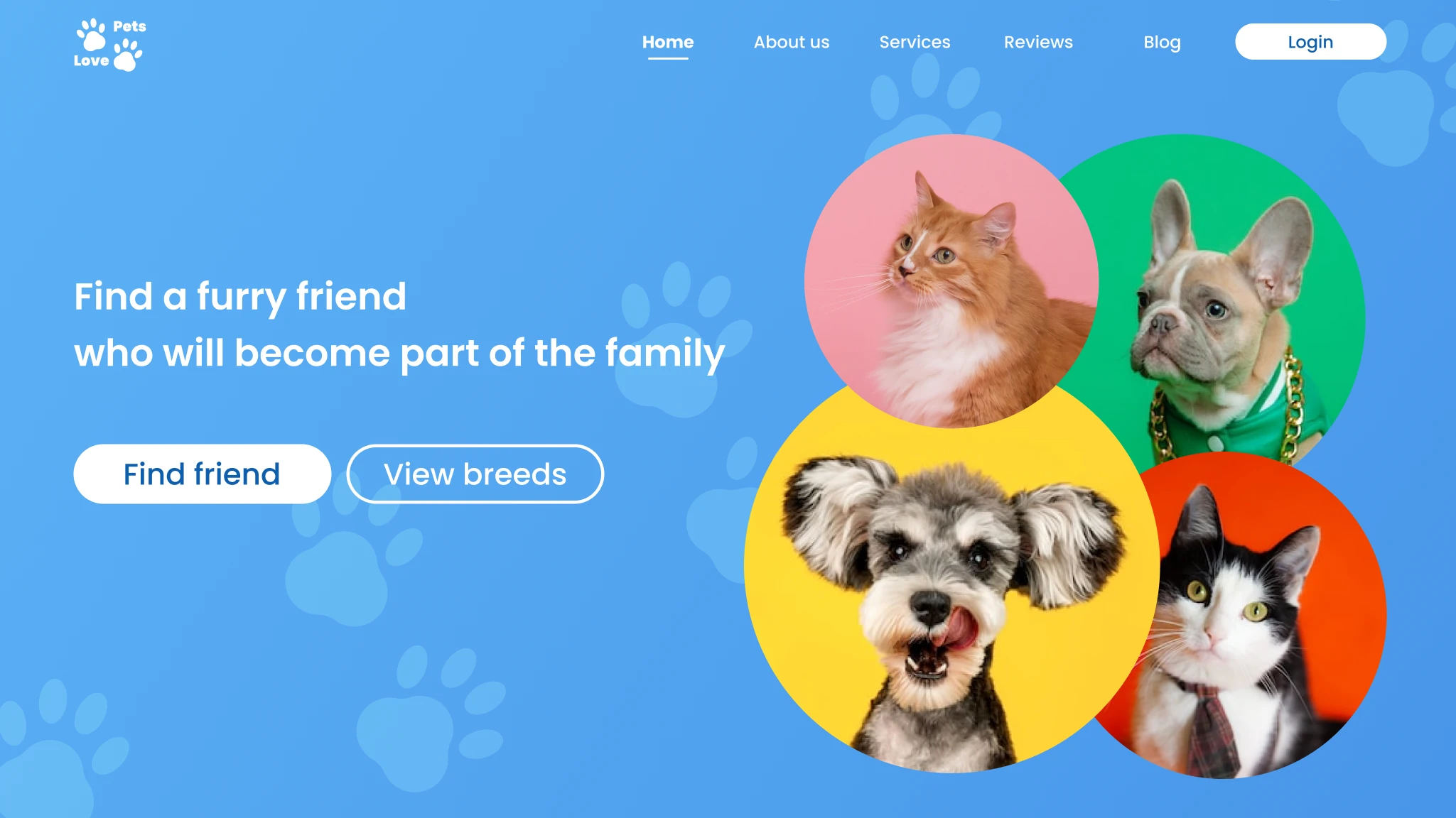 Portal for pet-service providers and customers interaction